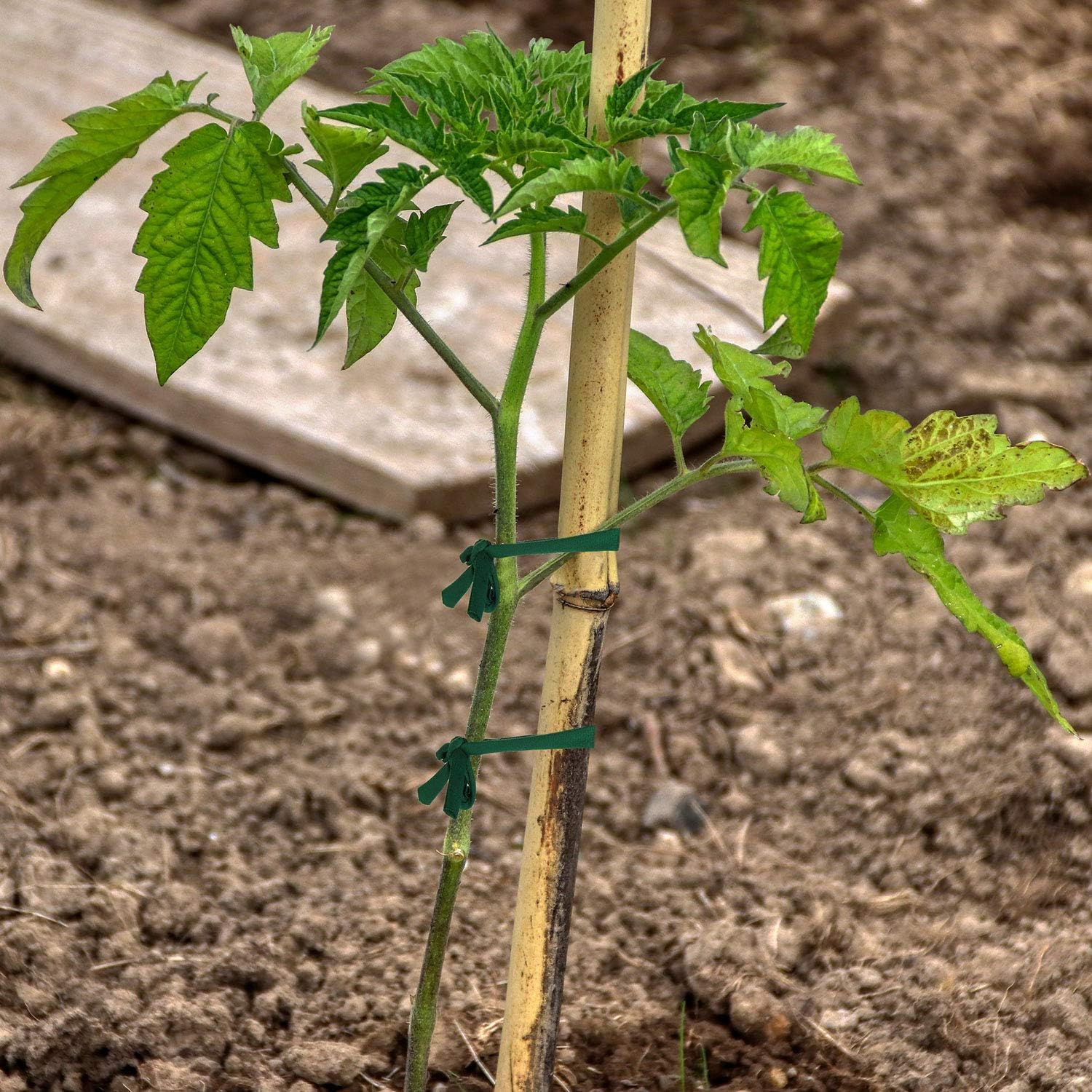BBTO Garden Twine Review
