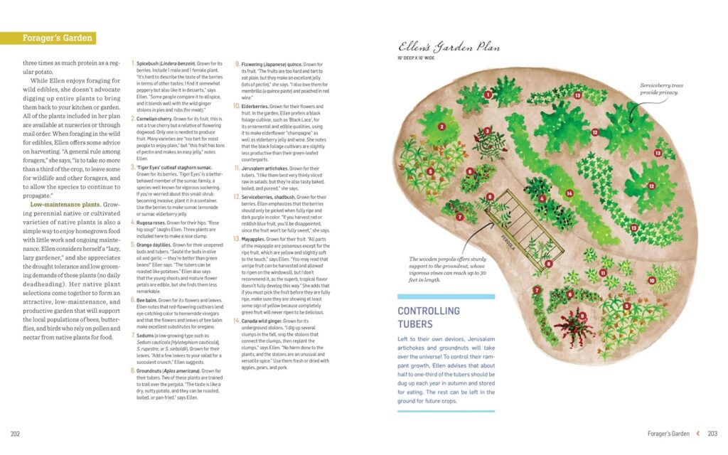 Groundbreaking Food Gardens: 73 Plans That Will Change the Way You Grow Your Garden      Paperback – March 25, 2014