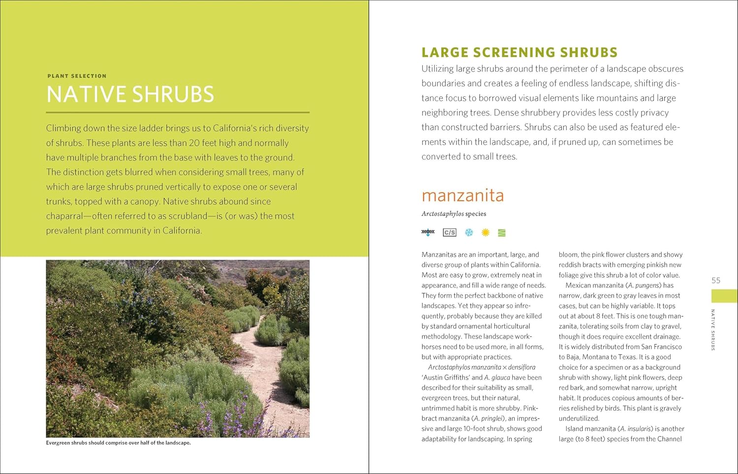 California Garden Paperback review