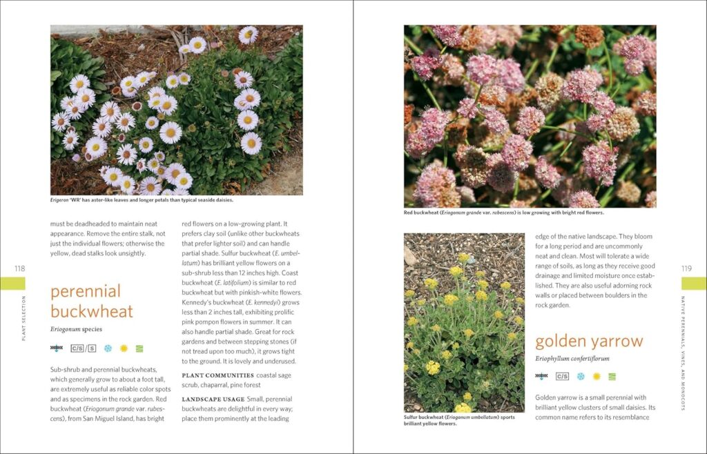 The Drought-Defying California Garden: 230 Native Plants for a Lush, Low-Water Landscape      Paperback – April 6, 2016